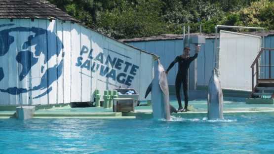 Planète Sauvage - 1 Jour