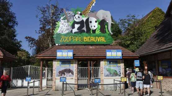 Beauval - 2 Jours