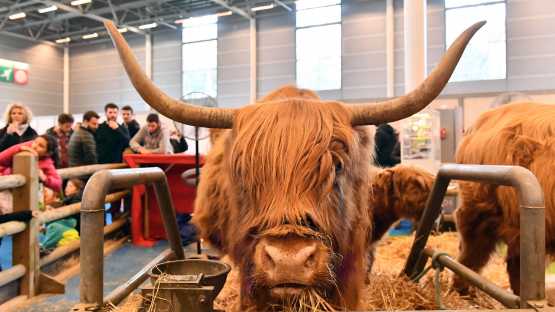 Salon de l'Agriculture - 1 Jour