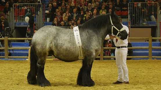 Salon de l'Agriculture - 1 Jour