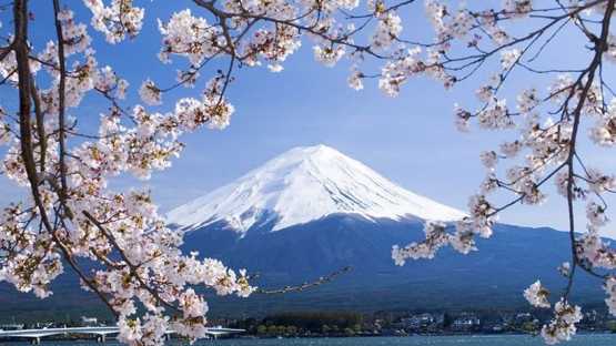 Japon - Tokyo - 7 Jours