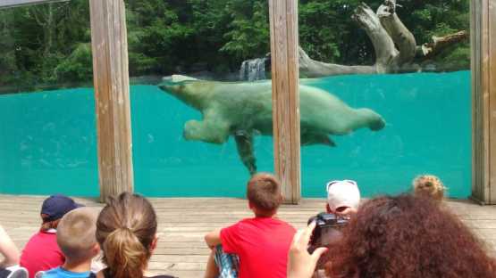 Zoo de la Flèche - 1 Jour