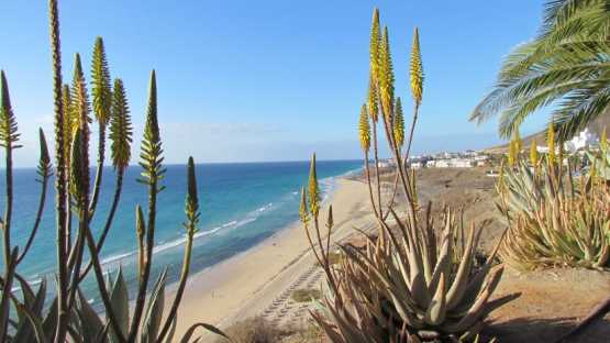 Espagne - Iles Canaries - Fuerteventura - 8 jours