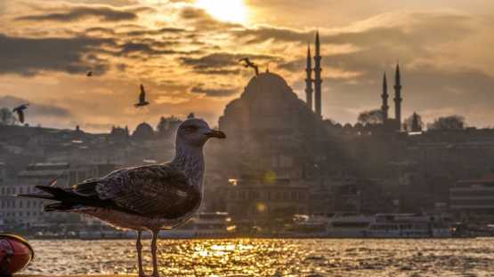 Turquie - Istanbul - 3 Jours