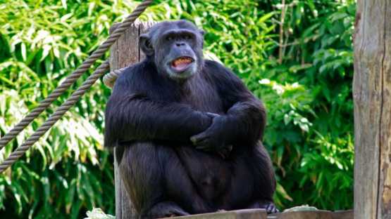 Zoo de la Flèche - 1 Jour